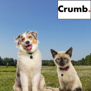 [Ad] Crumb FREE Pet Tag